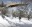 MRVA Edmonton Funicular winter rendering v2